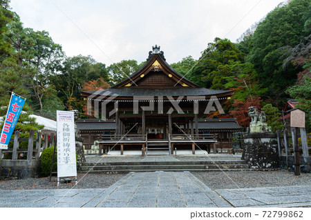 [Kyoto Prefecture] Izumo-Daijingu, Tamba Kuniichinomiya 72799862