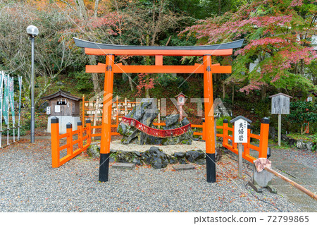 [Kyoto Prefecture] Izumo-Daijingu, Tamba Kuniichinomiya 72799865