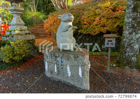 [京都府]丹波國立宮島出雲大神國 72799874