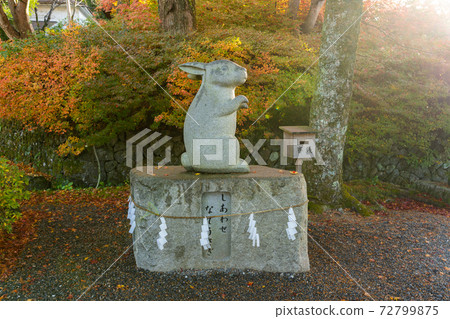 [Kyoto Prefecture] Izumo-Daijingu, Tamba Kuniichinomiya 72799875