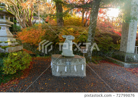 [京都府]丹波國立宮島出雲大神國 72799876