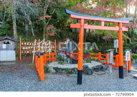 [Kyoto Prefecture] Izumo-Daijingu, Tamba Kuniichinomiya 72799904