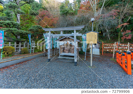 [Kyoto Prefecture] Izumo-Daijingu, Tamba Kuniichinomiya 72799906