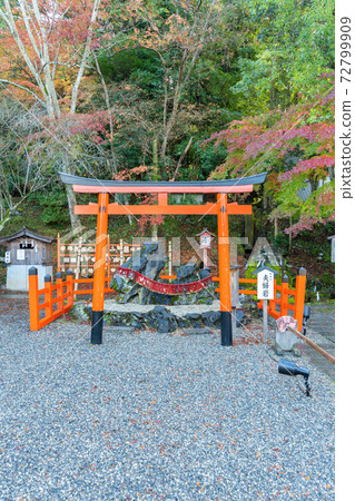 [Kyoto Prefecture] Izumo-Daijingu, Tamba Kuniichinomiya 72799909