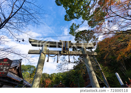 [Kyoto Prefecture] Izumo-Daijingu, Tamba Kuniichinomiya 72800518