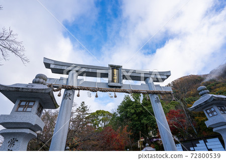[Kyoto Prefecture] Izumo-Daijingu, Tamba Kuniichinomiya 72800539