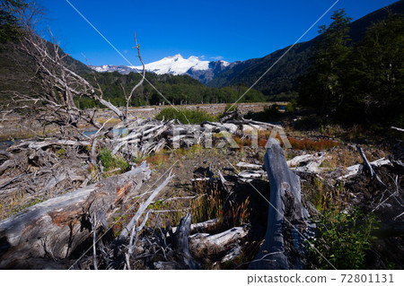 River Cauquenes and Tronador volcano River Cauquenes and Tronador volcano 72801131