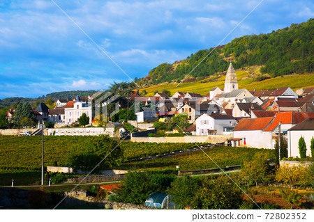 Houses and nature of ancient city Saint-Aubin, Burgundy with vineyards 72802352