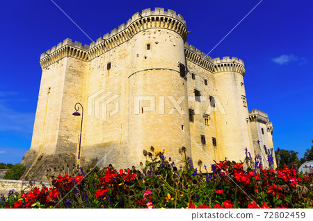 Old stone Castle of Tarascon 72802459
