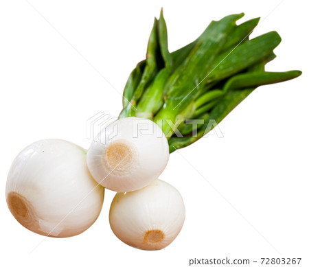 Spring onion isolated over white background 72803267