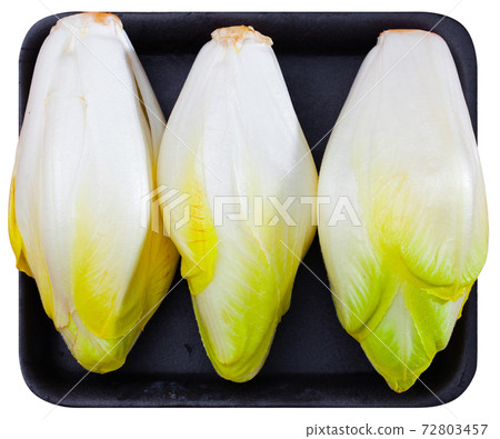 Fresh Belgian endive head on white 72803457