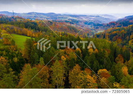 Autumn hilly landscape with colored trees Autumn hilly landscape with colored trees 72805065