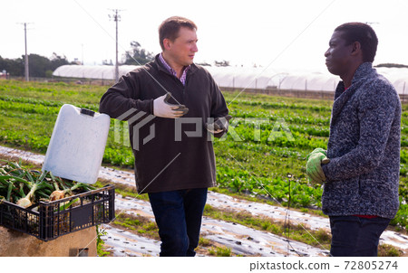 Two farmers talking among themselves during a break in work on the field 72805274
