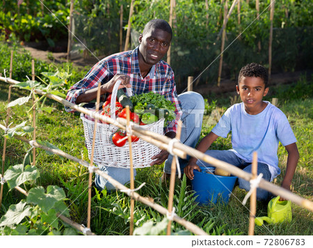 Portrait farmer and son with harvest of tomatoes, bell pepers and parsley from the garden Portrait farmer and son with harvest of tomatoes, bell pepers and parsley from the garden 72806783