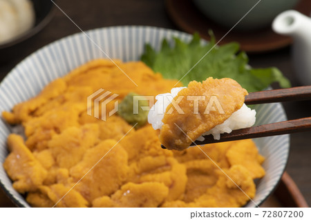 Sea urchin bowl (table) 72807200