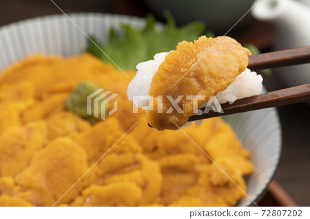 Sea urchin bowl (table) 72807202