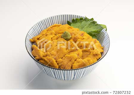 Sea urchin bowl (white background) 72807232