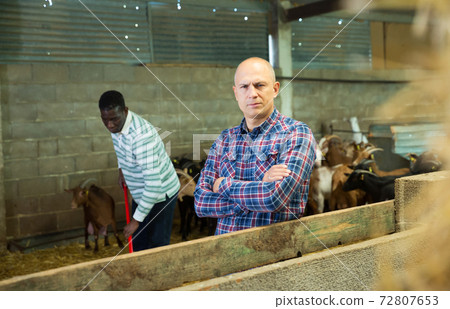 Portrait of man goat breeder 72807653