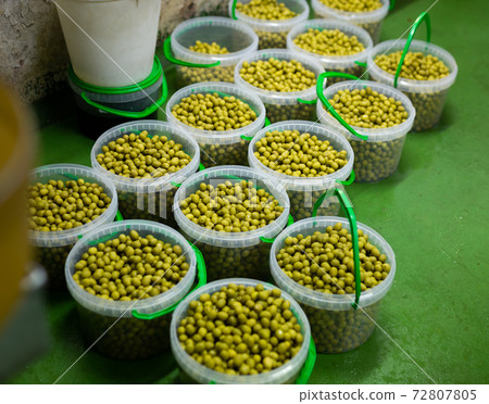 Filling of plastic buckets with pickled olives Filling of plastic buckets with pickled olives 72807805