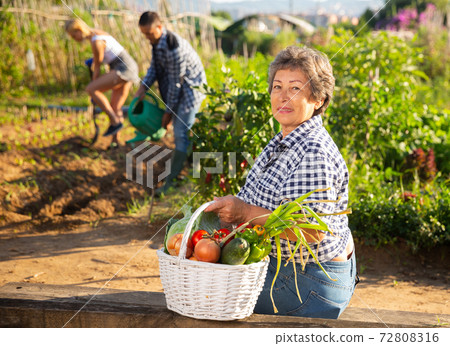 Mature woman posing with harvest of vegetables 72808316