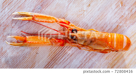 Raw langust ready for cooking Raw langust ready for cooking 72808416