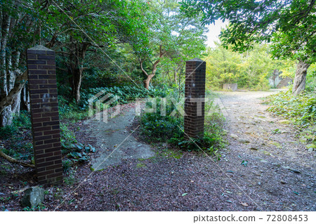 [和歌山縣]永島 72808453