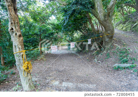 [Wakayama Prefecture] Tomogashima 72808455