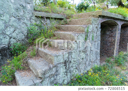 [Wakayama Prefecture] Tomogashima 72808515