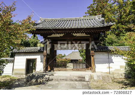 奈良縣奈良市Saidaiji南門 72808827