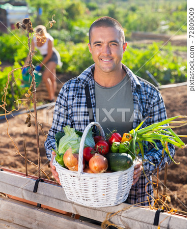 Man gardener holding basket with harvest of vegetables in garden 72809009