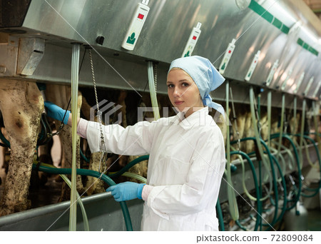 Woman standing near automatical cow milking machines at farm Woman standing near automatical cow milking machines at farm 72809084