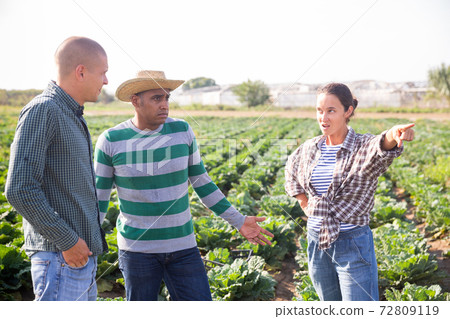 Quarrel of three friends in the country in village Quarrel of three friends in the country in village 72809119