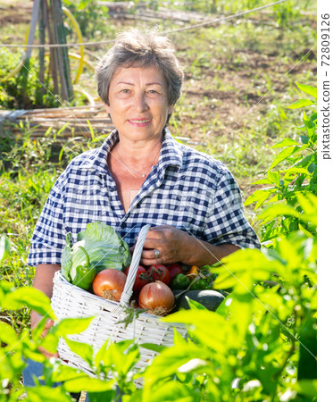 Mature woman posing with harvest of vegetables Mature woman posing with harvest of vegetables 72809126