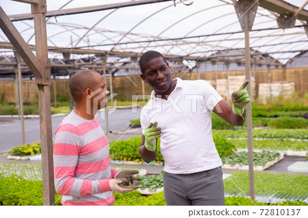 Worker carefully to the instructions of the owner of the greenhouse 72810137