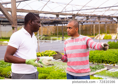 African and Latino men garden workers berating African and Latino men garden workers berating 72810166
