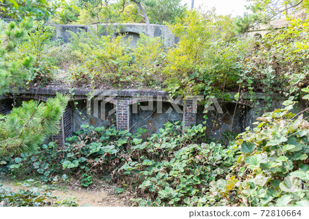 [和歌山縣]永島 72810664