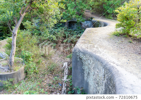 [Wakayama Prefecture] Tomogashima 72810675