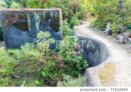 [Wakayama Prefecture] Tomogashima 72810694