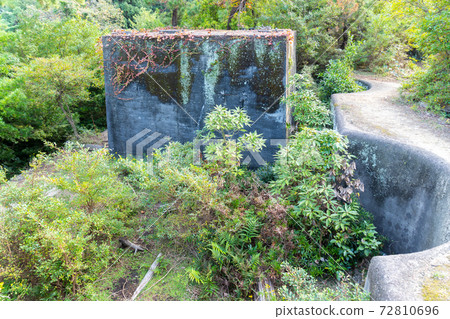 [Wakayama Prefecture] Tomogashima 72810696