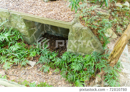 [Wakayama Prefecture] Tomogashima 72810780