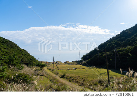 [Wakayama Prefecture] Tomogashima 72810861