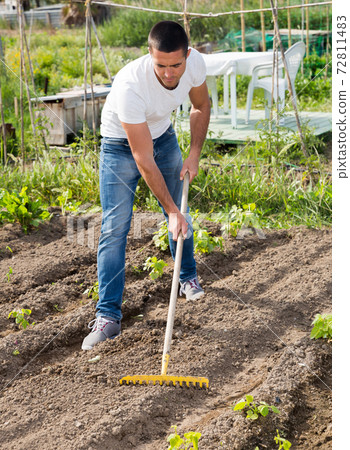 Young man gardener with rake working at land in garden 72811483