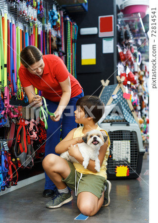boy and his mother looking for supplies for little dog 72814541