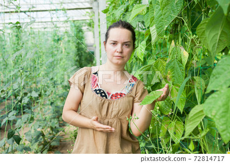 Woman working in glasshousw 72814717