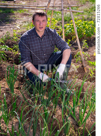 Portrait of an experienced positive owner on the field 72815266