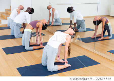 Group of man and woman exercising during yoga class Group of man and woman exercising during yoga class 72815646