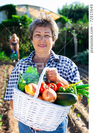 Smiling aged woman holding vegetables grown in home garden 72815649