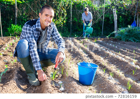 Young smiling man working in vegetable garden 72816159