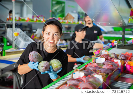 Emotional woman demonstrates ripe mango fruits at food factory warehouse 72816733