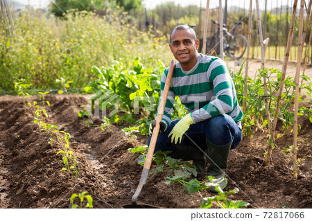 Indian man professional horticulturist with garden mattock Indian man professional horticulturist with garden mattock 72817066